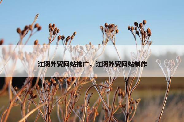 江阴外贸网站推广，江阴外贸网站制作