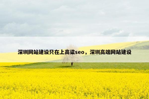 深圳网站建设只在上高粱seo，深圳高端网站建设