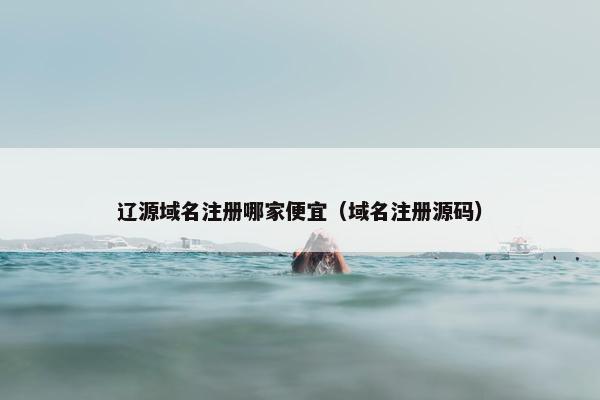 辽源域名注册哪家便宜（域名注册源码）