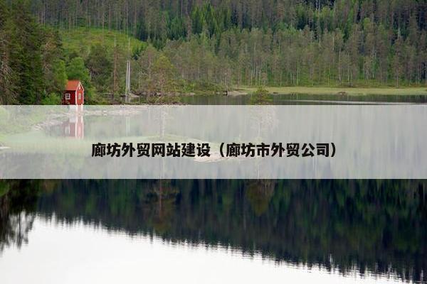 廊坊外贸网站建设（廊坊市外贸公司）