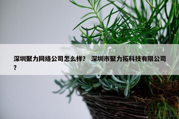 深圳聚力网络公司怎么样？ 深圳市聚力拓科技有限公司？