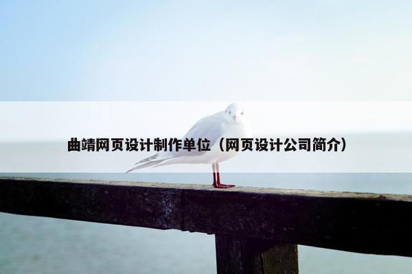 曲靖网页设计制作单位（网页设计公司简介）