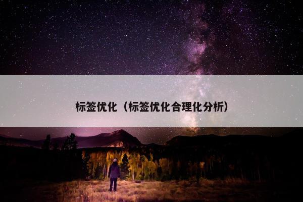 标签优化（标签优化合理化分析）