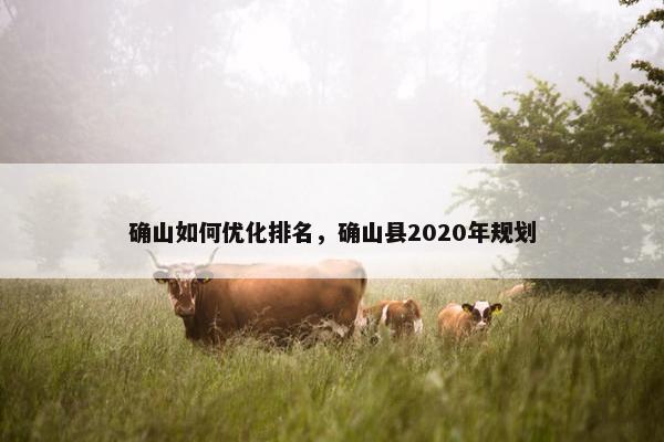 确山如何优化排名，确山县2020年规划