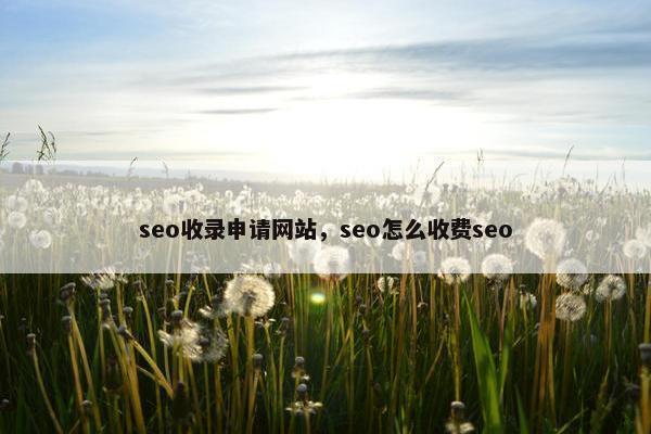seo收录申请网站，seo怎么收费seo