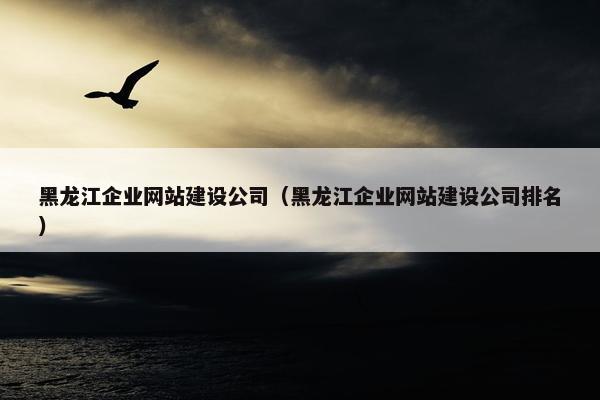 黑龙江企业网站建设公司（黑龙江企业网站建设公司排名）