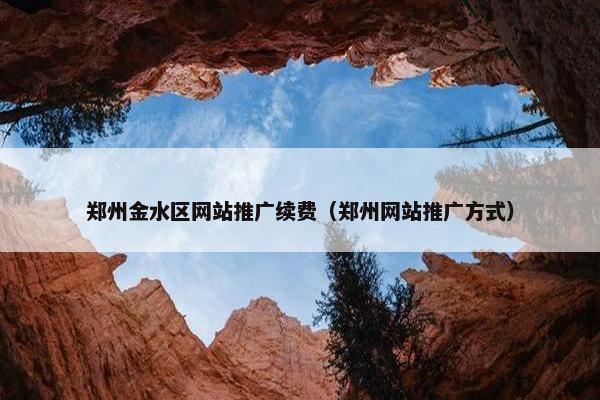 郑州金水区网站推广续费（郑州网站推广方式）