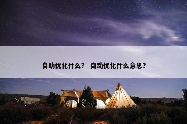 自助优化什么？ 自动优化什么意思？