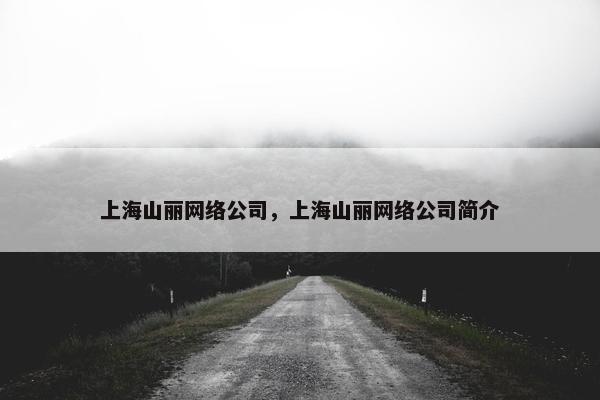 上海山丽网络公司，上海山丽网络公司简介