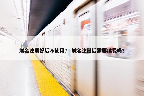 域名注册好后不使用？ 域名注册后需要续费吗？