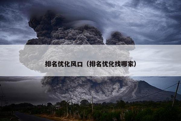 排名优化风口（排名优化找哪家）