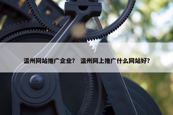 温州网站推广企业？ 温州网上推广什么网站好？
