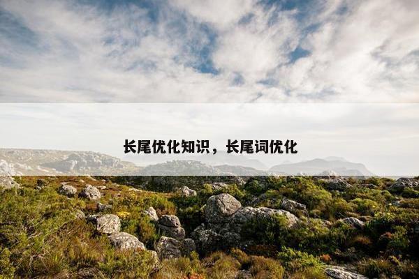 长尾优化知识，长尾词优化
