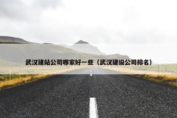 武汉建站公司哪家好一些（武汉建设公司排名）