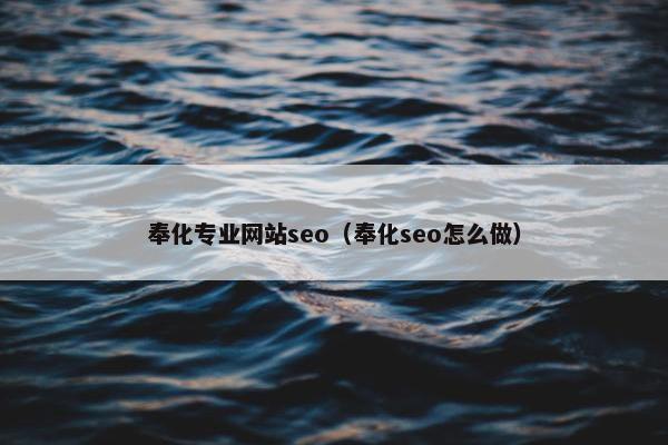 奉化专业网站seo（奉化seo怎么做）