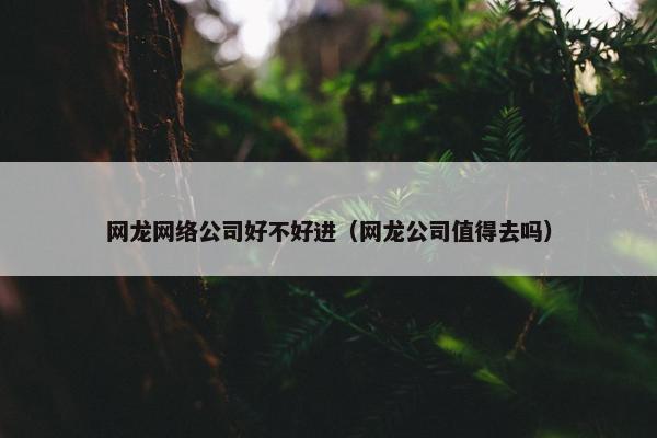 网龙网络公司好不好进（网龙公司值得去吗）