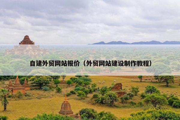 自建外贸网站报价（外贸网站建设制作教程）