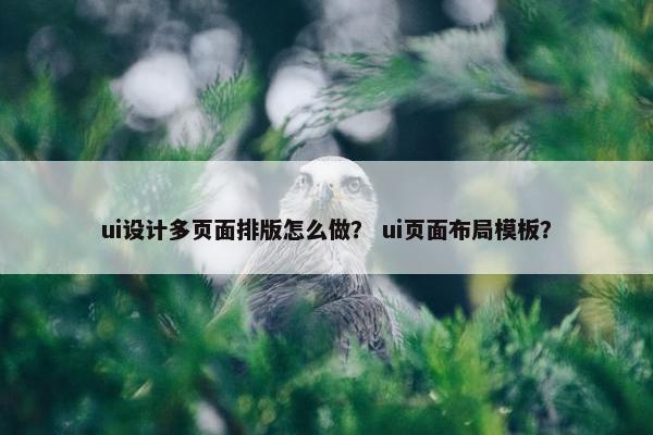 ui设计多页面排版怎么做？ ui页面布局模板？