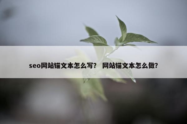 seo网站锚文本怎么写？ 网站锚文本怎么做？