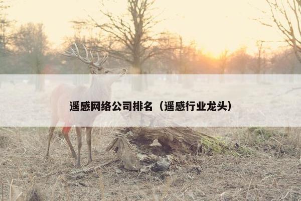 遥感网络公司排名（遥感行业龙头）