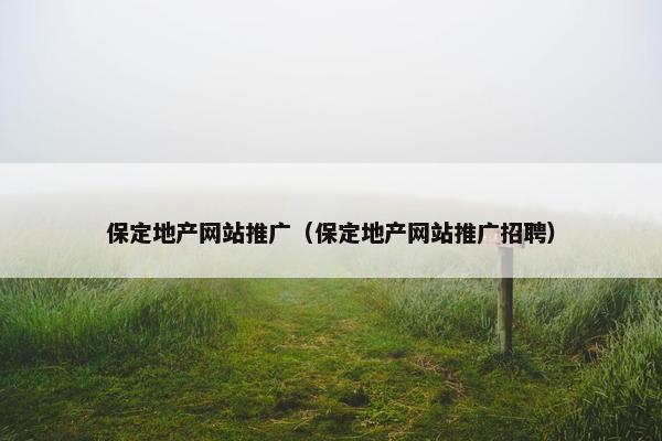 保定地产网站推广（保定地产网站推广招聘）