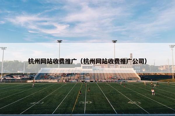 杭州网站收费推广（杭州网站收费推广公司）