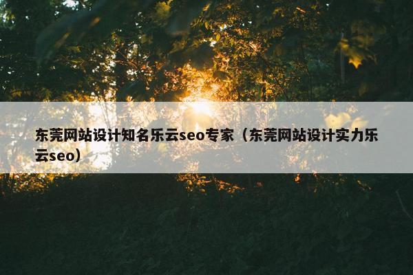 东莞网站设计知名乐云seo专家（东莞网站设计实力乐云seo）