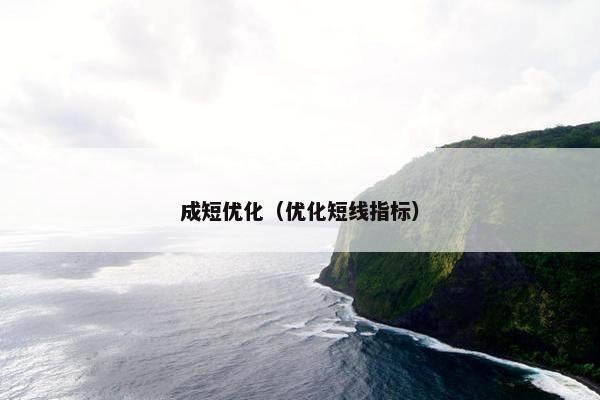 成短优化（优化短线指标）