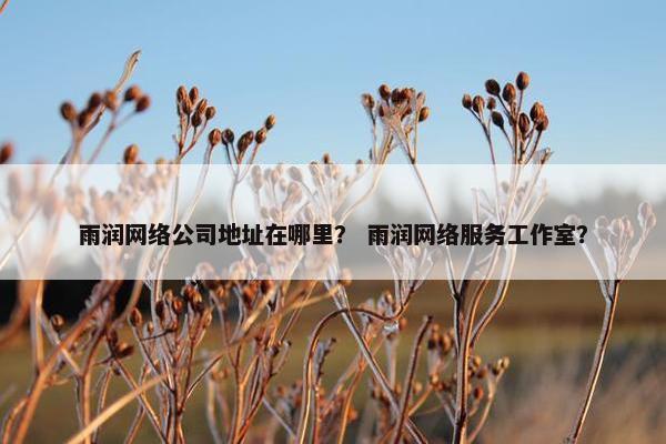 雨润网络公司地址在哪里？ 雨润网络服务工作室？