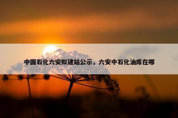 中国石化六安拟建站公示，六安中石化油库在哪