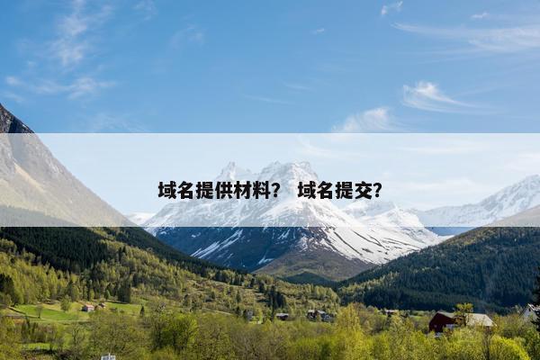 域名提供材料？ 域名提交？