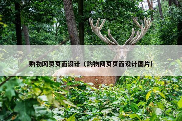购物网页页面设计（购物网页页面设计图片）