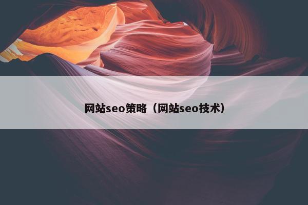 网站seo策略（网站seo技术）