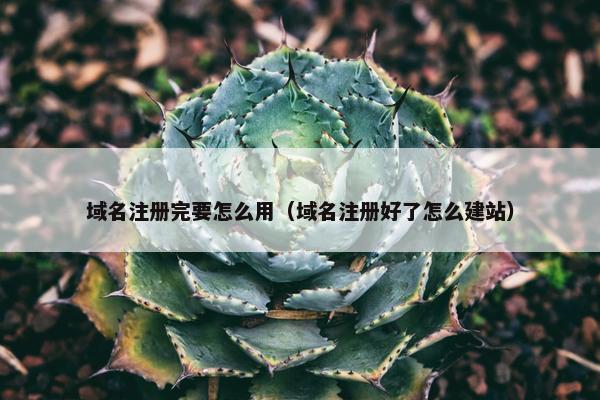 域名注册完要怎么用（域名注册好了怎么建站）