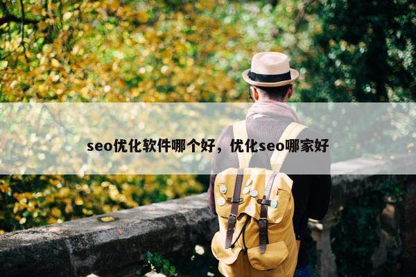seo优化软件哪个好，优化seo哪家好