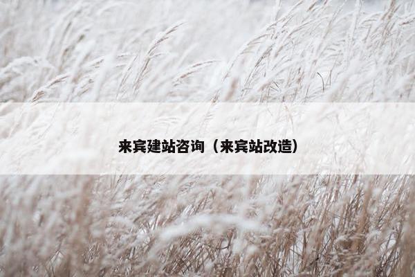 来宾建站咨询（来宾站改造）