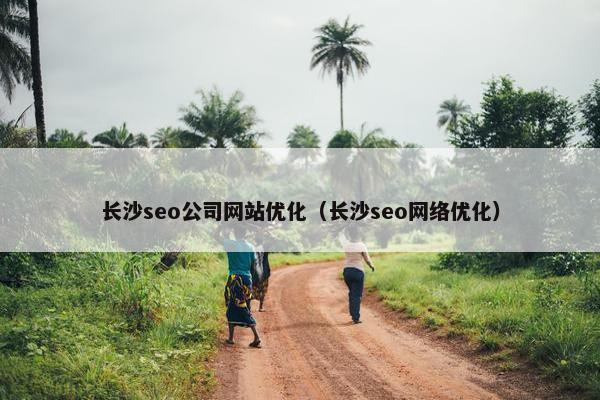 长沙seo公司网站优化（长沙seo网络优化）