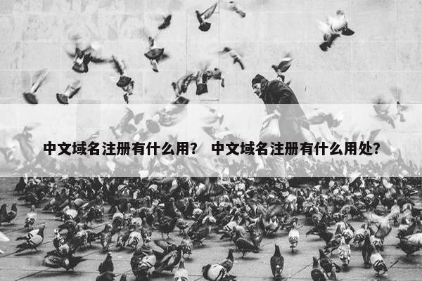 中文域名注册有什么用？ 中文域名注册有什么用处？