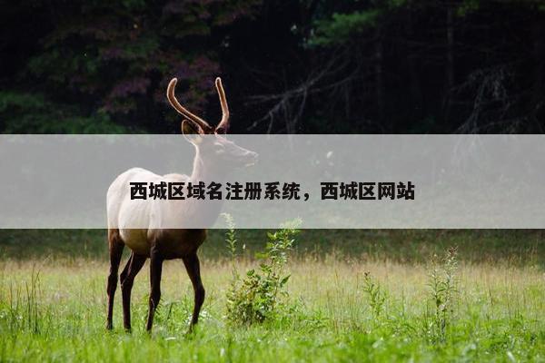 西城区域名注册系统，西城区网站