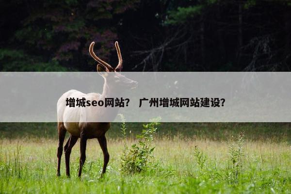 增城seo网站？ 广州增城网站建设？