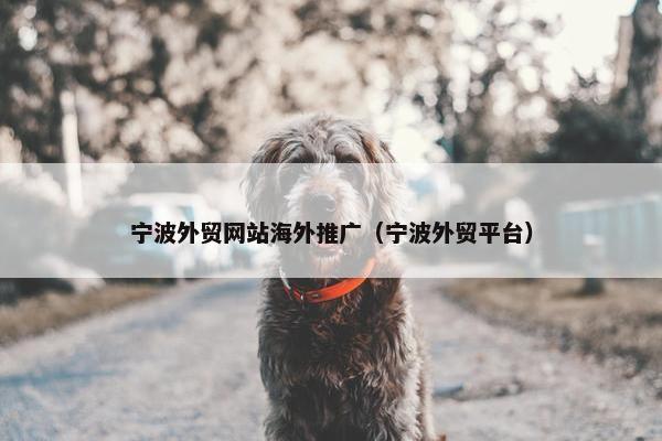 宁波外贸网站海外推广（宁波外贸平台）