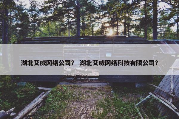 湖北艾威网络公司？ 湖北艾威网络科技有限公司？