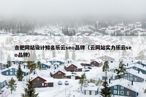 合肥网站设计知名乐云seo品牌（云网站实力乐云seo品牌）