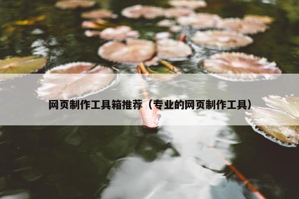 网页制作工具箱推荐（专业的网页制作工具）