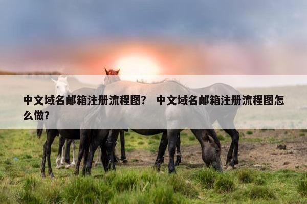 中文域名邮箱注册流程图？ 中文域名邮箱注册流程图怎么做？