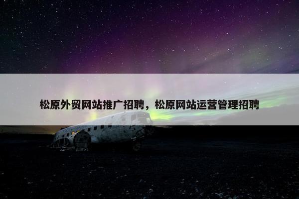 松原外贸网站推广招聘，松原网站运营管理招聘