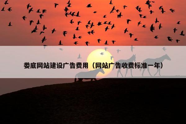 娄底网站建设广告费用（网站广告收费标准一年）