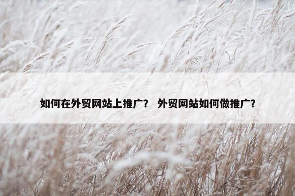 如何在外贸网站上推广？ 外贸网站如何做推广？