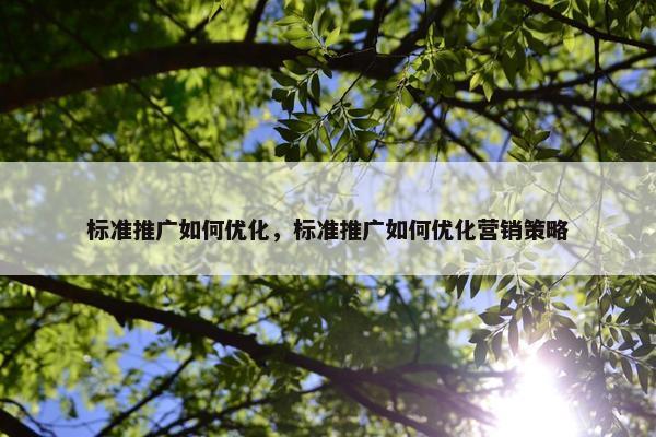 标准推广如何优化，标准推广如何优化营销策略