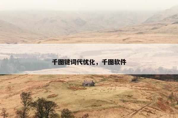 千图键词代优化，千图软件